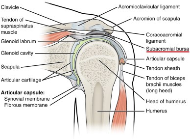 slijmbeursontsteking schouder fysiotherapie wijchen fysi-co